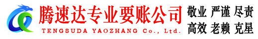 滨城清债公司